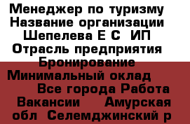 Менеджер по туризму › Название организации ­ Шепелева Е.С, ИП › Отрасль предприятия ­ Бронирование › Минимальный оклад ­ 30 000 - Все города Работа » Вакансии   . Амурская обл.,Селемджинский р-н